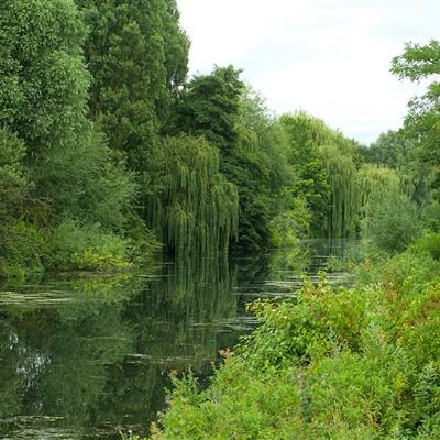 今期澳门三肖三码开一码手机app下载截图